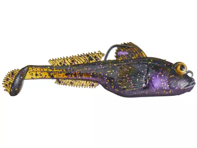 RAINBOW GOBY * Freshwater Tropical fish * 4cm Stiphodon ornatus £6.99 -  PicClick UK