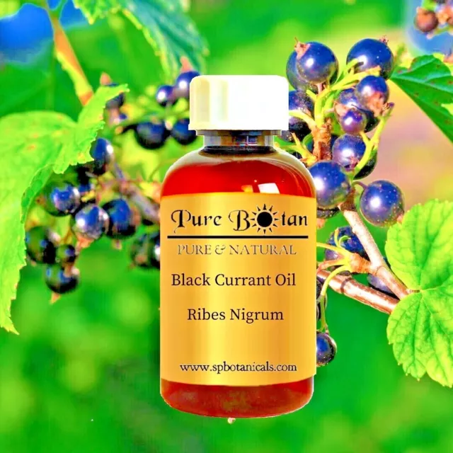 Aceite de semilla de grosella negra - orgánico - prensado en frío - 4 oz