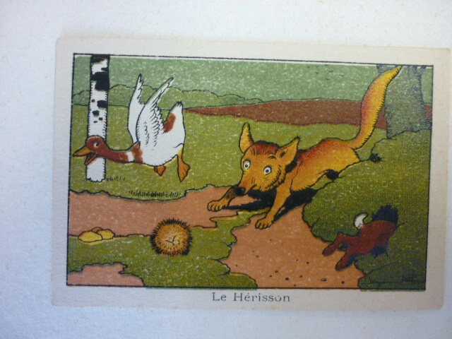 CHROMO BON-POINT ECOLE 1920-1939 ILLUSTRATEUR BENJAMIN RABIER CANARD