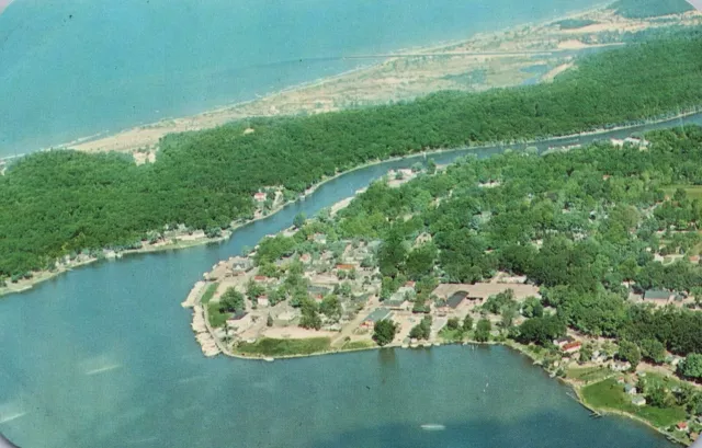 Aerial View of Lakeshore in Saugatuck Michigan MI Postcard