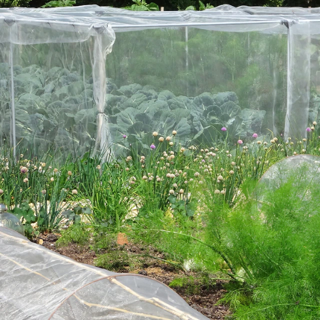 Mesh Garden Bildschirm Schneidfähiger Gartennetz -Netz -Anti -Vogel 2