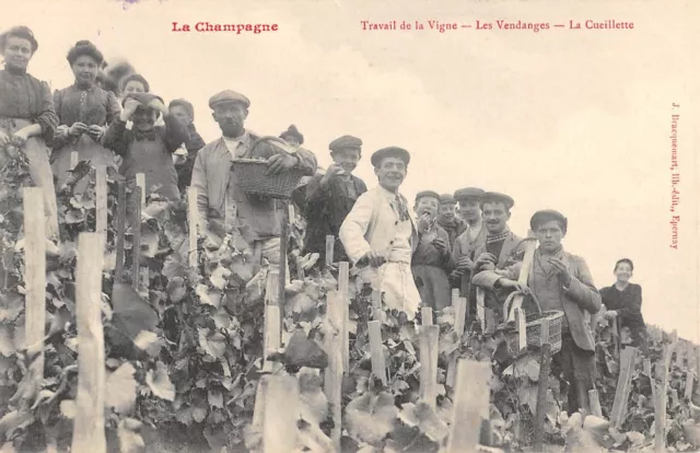 Cpa 51 La Champagne Travail De La Vigne Les Vendanges La Cueillelette