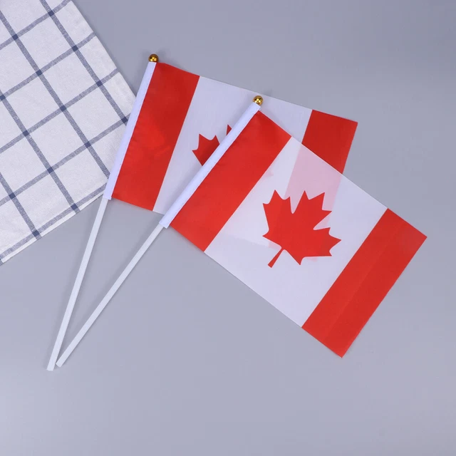 Computer Little Flags MINIATURE NATIONAL FLAGS World Flags for Small International Flags £12. ...