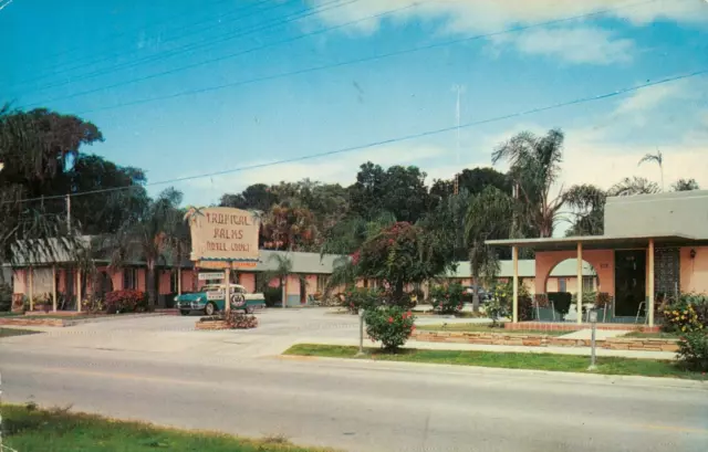 Postcard Tropical Palms Daytona Beach Florida FL FLA Hotel  AAA