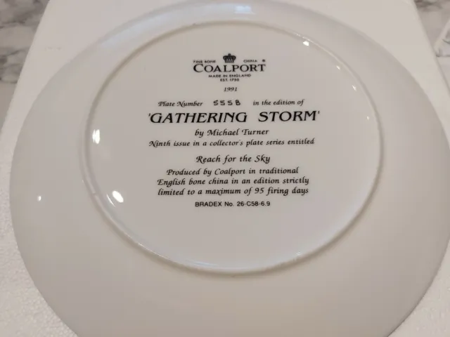 Coalport "Gathering Storm" Bone China Plate 2