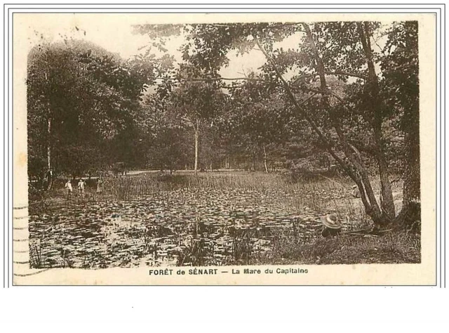 91.Foret De Senart.la Mare Du Capitaine