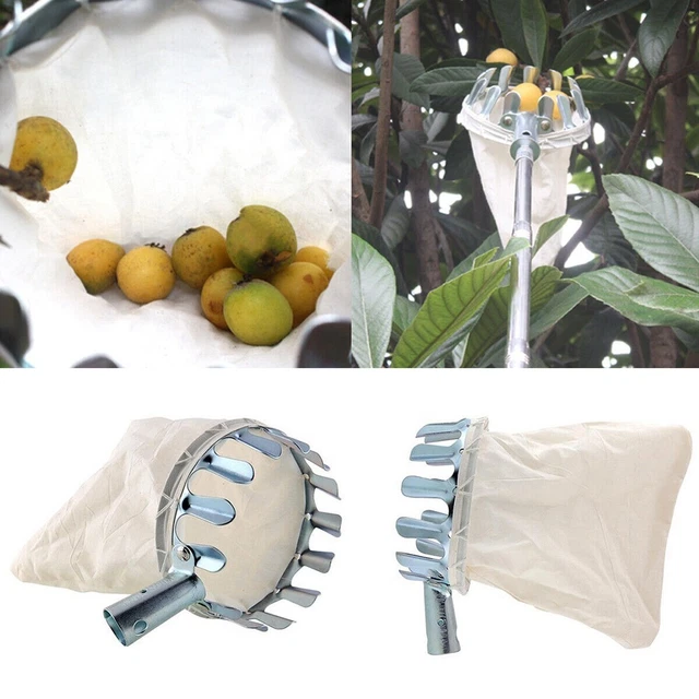 Obstpflücker Mit Korb - Metall Pflückwerkzeug Für Bäume Bis 240g Leicht