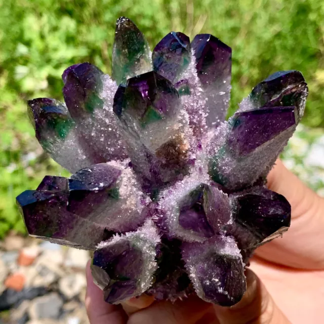 499G New Find PURPLE PhantomQuartz Crystal Cluster MineralSpecimen