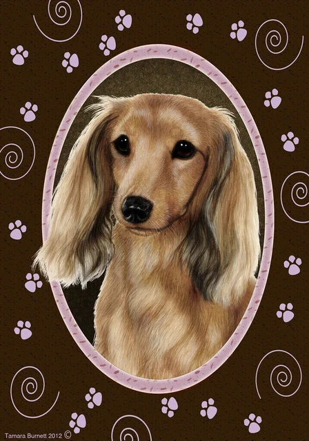Paws House Flag - Longhaired Cream Dachshund 17138