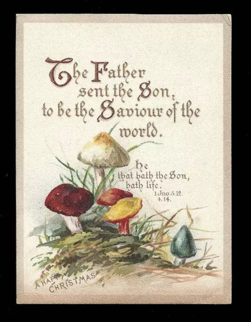 K10 - Victorian Religious Scripture Psalms Motto Christmas Card - Mushrooms