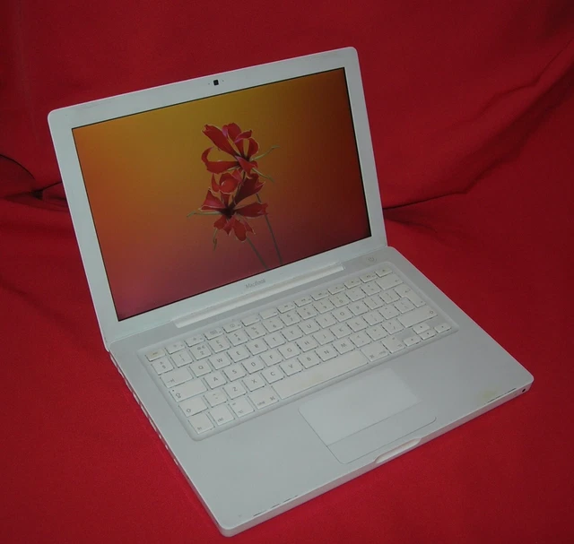 Apple MacBook 13in 2.13 Ghz Core 2 Duo 160GB HDD 2GB RAM DVD WiFi A1181 2009