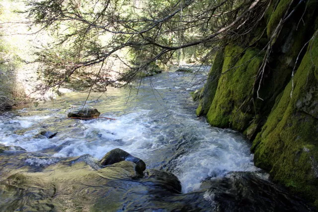 Lucky Nuggets Placer Gold Mining Claim 20 Acre Plumas County CA Marble Creek