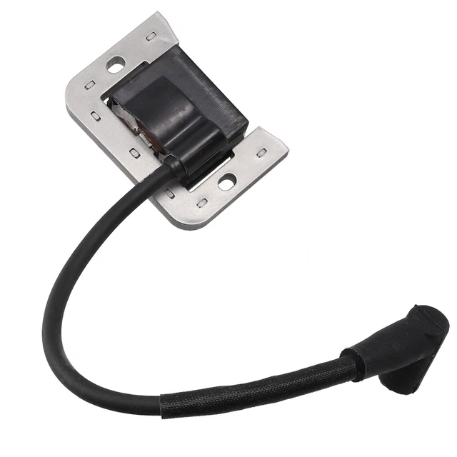 Bobina Di Accensione Di Ricambio Per Tosaerba Con Diverse Opzioni - Foto 10