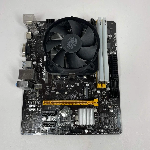 Biostar Motherboard Processor Graphics Card Combo COMBO BIOSTAR