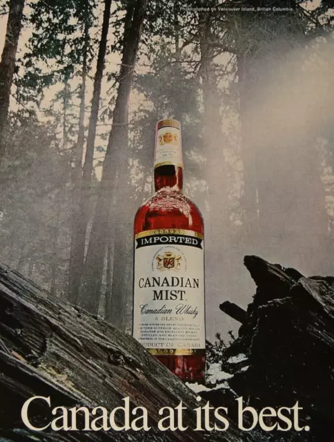 Canadian Mist Whisky Foggy Forest Woods Bottle Vintage Print Ad 1974