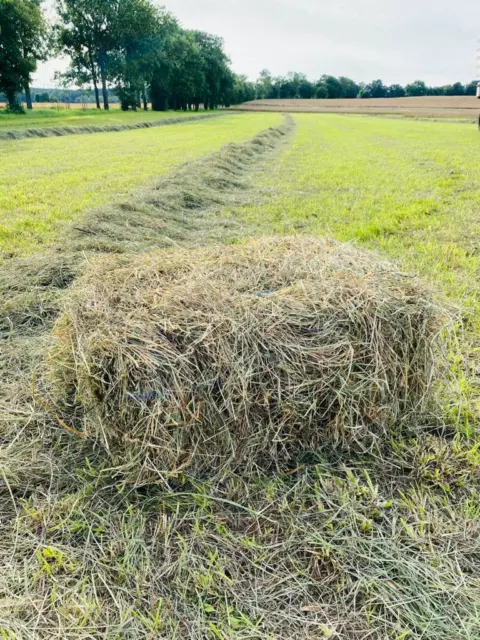 Heu ca.15kg 1.Schnitt Heuballen Kaninchen Meerschweinchen Pferde Wiesenheu