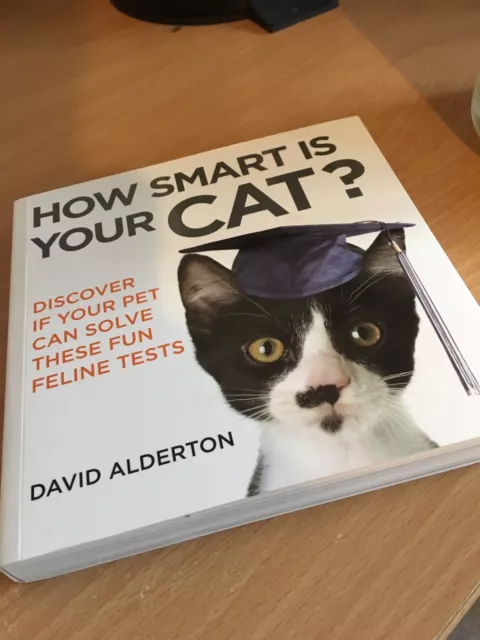 How Smart is Your Cat?: Discover If Your Pet Can Solve These Fun Feline Tests by
