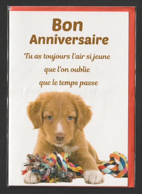 Carte De Voeux Neuve Bon Anniversaire Chiot Eur 2 00 Picclick Fr Carte De Voeux Neuve Bon Anniversaire Chiot Eur 2 00 Picclick Fr