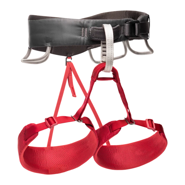 Black Diamond Momentum Women's Climbing Harness | Wild Rose | Medium