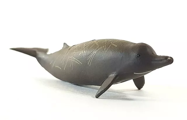 Japan Kaiyodo Choco Q Baird's Beaked Whale Realistic Animal Figure Miniature