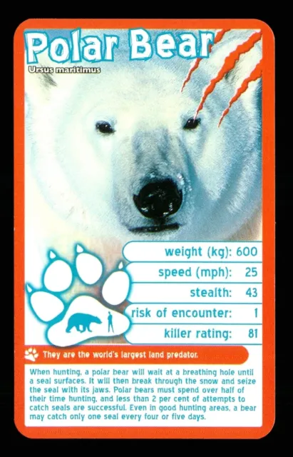 1 x info card deadliest predator Polar Bear - R114