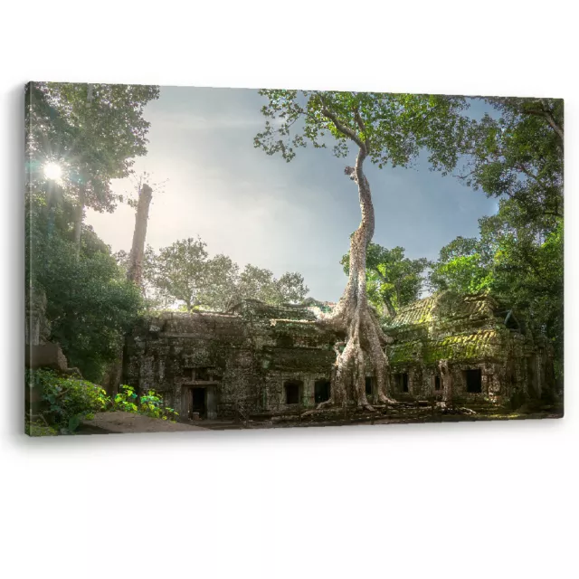 Ta Prohm Banyan Tree Angkor Wat Tomb Raider Framed Canvas Wall Art Picture Print