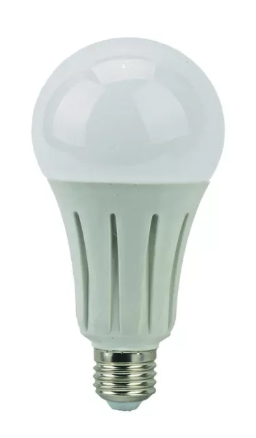 LyvEco 24W LED Glühbirne GLS E27 ES Edison Schraube in Kappe (150W superhell)