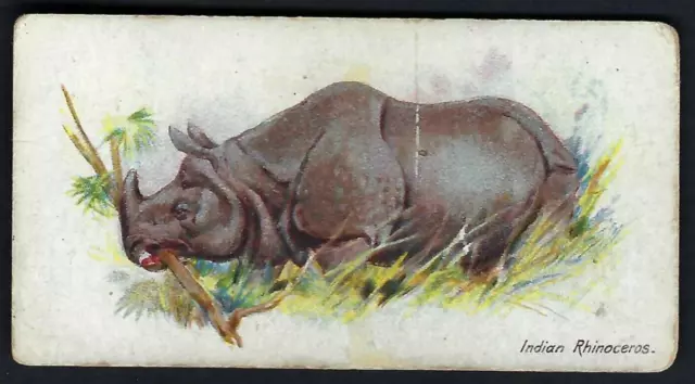 Player - Wild Animals Of The World (Wide, Branch) - Indian Rhinoceros