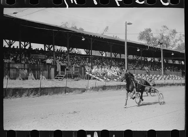 Sulky race Central Iowa 4-H Club fair Marshalltown Iowa 1930s Old Photo 4