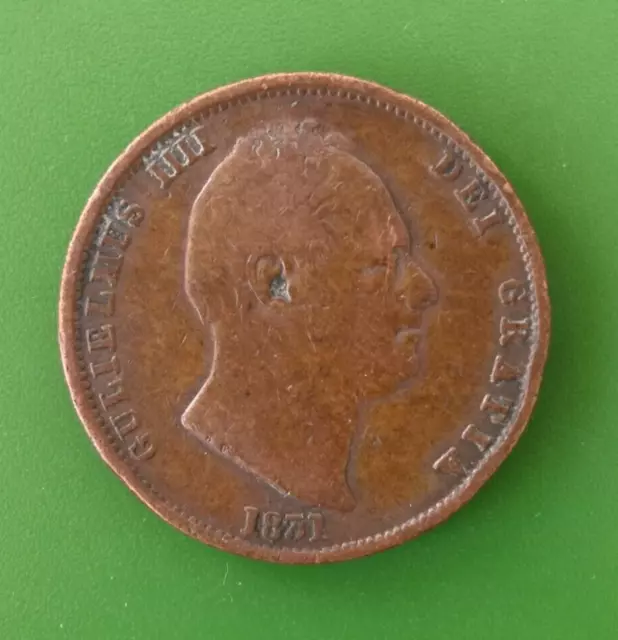 1831 William IV Half Penny Coin #1141c