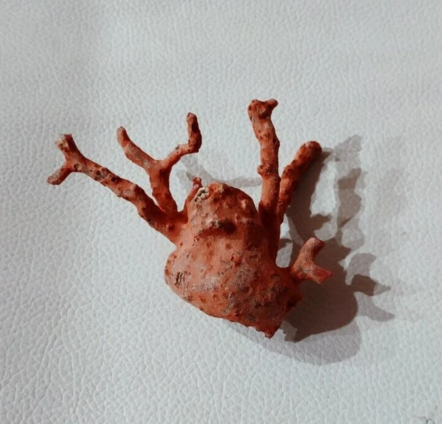 Croix Rouge Francaise Branche De Corail Rouge Naturel D'Italie - Pierre Précieuse Polie, 11 Carats, Non Traitée T-shirt Vintage