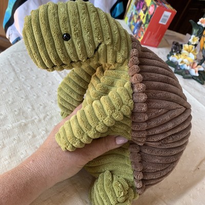 cordy roy tortoise