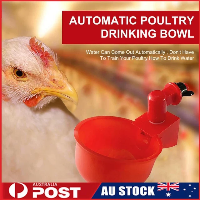 Automatic Chicken Waterer 1/6/12 Pieces Poultry Watering Feeder Drinking Bowls