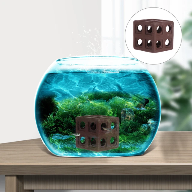 Cachette Pour Poisson Betta - Grotte Aquarium Avec Ventouse - Décor Imprimé 3D Pour Crevettes Et Petits Poissons