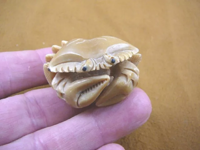 (tb-crab-5) little blue Crab TAGUA NUT palm figurine Bali detailed crabs