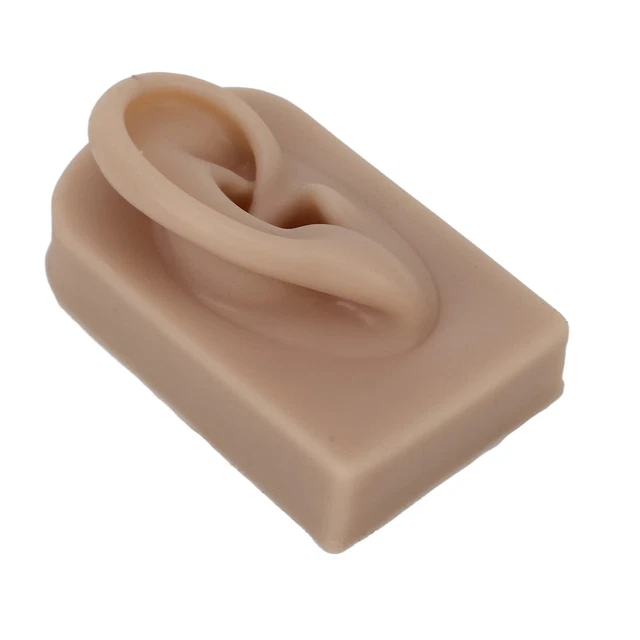 (Marrón) Oreja Humana Modelo de Silicona Suave Flexible Oreja Derecha Reutilizable Modelo TDM