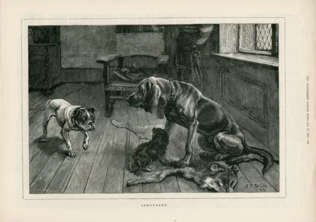 BLOODHOUND KING CHARLES SPANIEL BULLDOG SANCTUARY ANTIQUE 1883 DOG ART PRINT b3