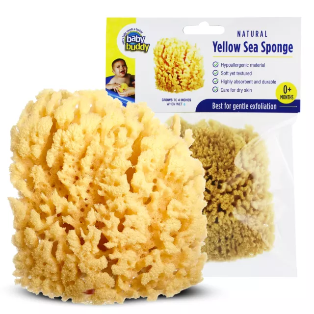 Baby Buddy Natural Baby Bath Sponge 4in Soft Yellow Sea Sponge Biodegradable1pk