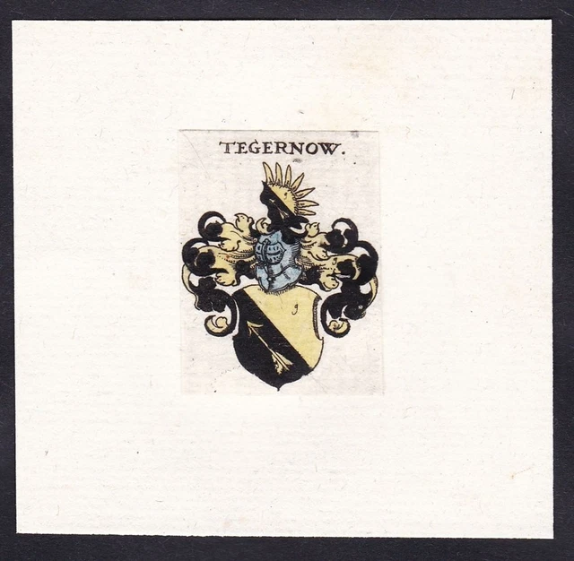 Tegernau Tegernow Tegernou Escudo Abrigo De Arms Heráldica Grabado 17. Jh