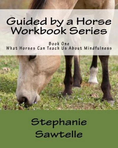 GUIDED BY A Horse Workbook Series: Book One, What Horses Can Teach Us ...