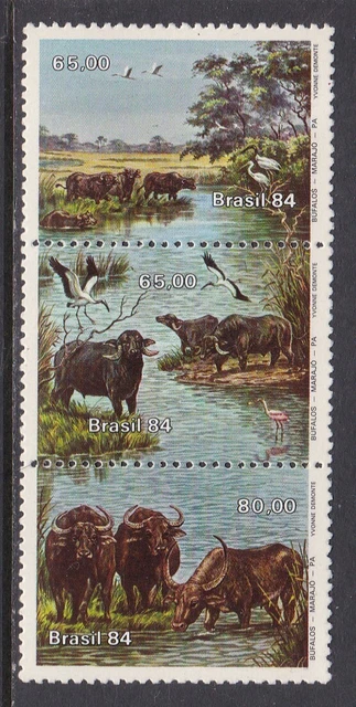 Brazil, Fauna, Birds, Animals MNH / 1984