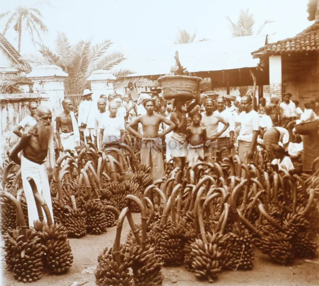 Sri Lanka Ceylon Colombo Markt Nach Bananas c1920 Foto Platte Stereo Vintage