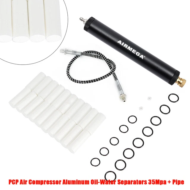 Tuyau D'Air DN2 PCP 91 Cm Haute Pression 4500 PSI Avec Séparateur Eau/Huile Et Connecteurs Rapides Inox