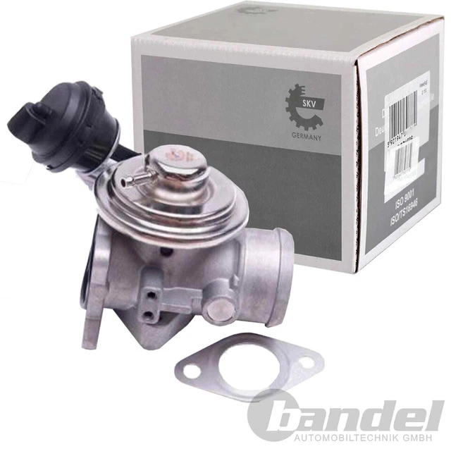 Guarnizione Valvola Scarico TECE A2 | Ricambio Originale Per Cassette WC