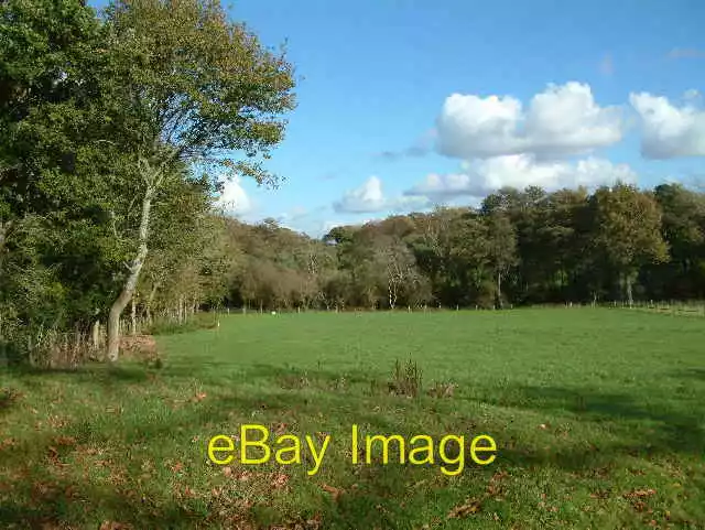 Photo 6x4 Kings Farm, Sway, New Forest Birchy Hill This grazing land was  c2005