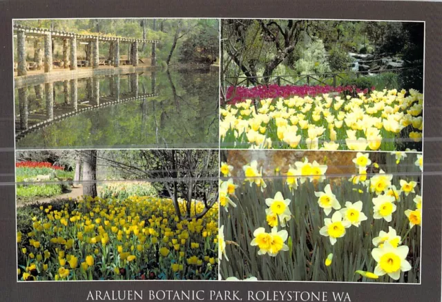 L1694 Australia WA Roleystone Araluen Botanic Park postcard
