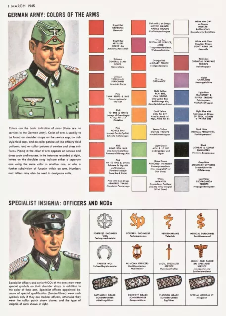 WW2 GERMAN ARMY military Rank Insignia uniform guide CANVAS PRINT world ...
