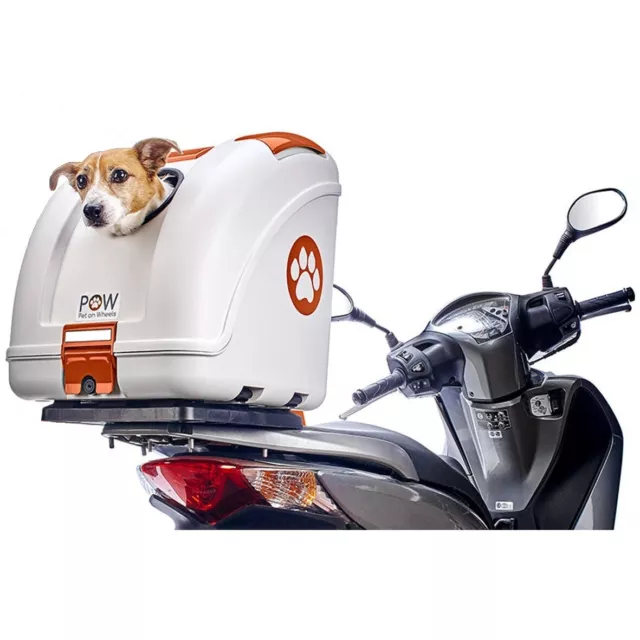 POW TRASPORTINO BAULETTO per il trasporto cane gatto in scooter bici auto  moto x EUR 195,00 - PicClick IT
