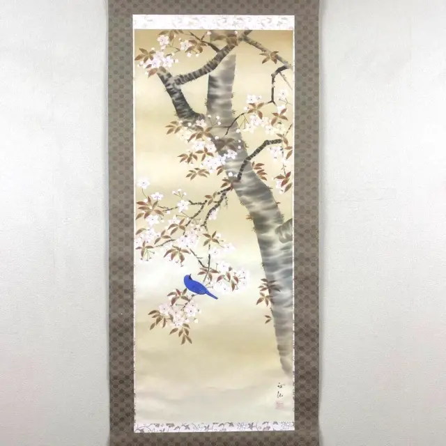 Japanese Hanging Scroll Cherry Blossom Bird Painting w/Box Asian Antique 6rY