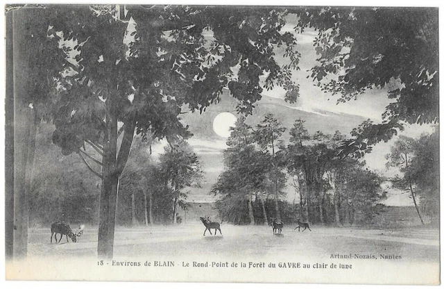 BLAIN 44 FORET du Gavre clair de lune CPA écrite vers 1910-20 Edit
